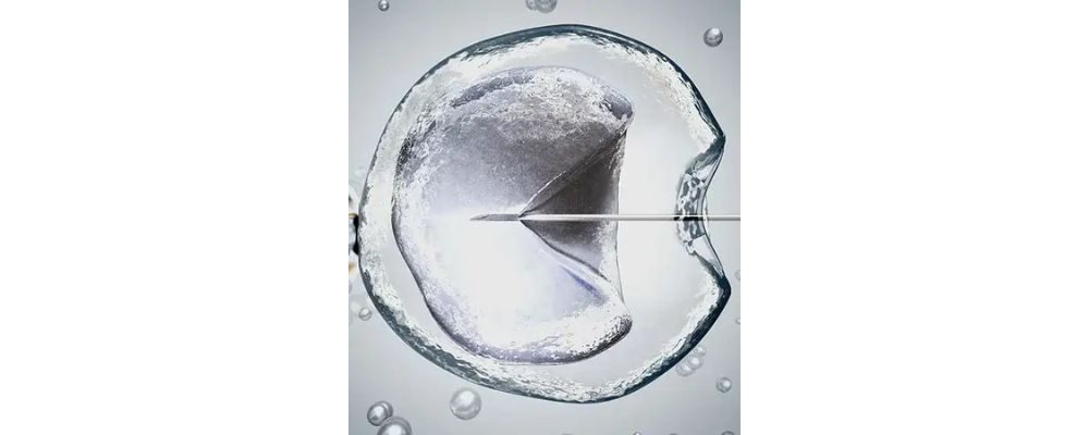 Best Fertility Clinic In Dubai: What Makes A Clinic Truly Stand Out